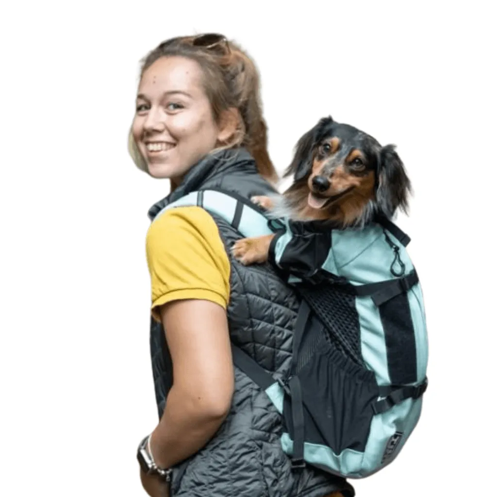 K9 Sports Sack | Air 2 Dog Backpack | 4 Sizes | Grey